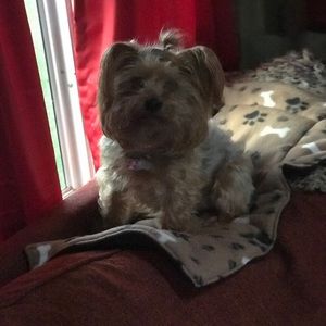 Meet your Posher, Linda